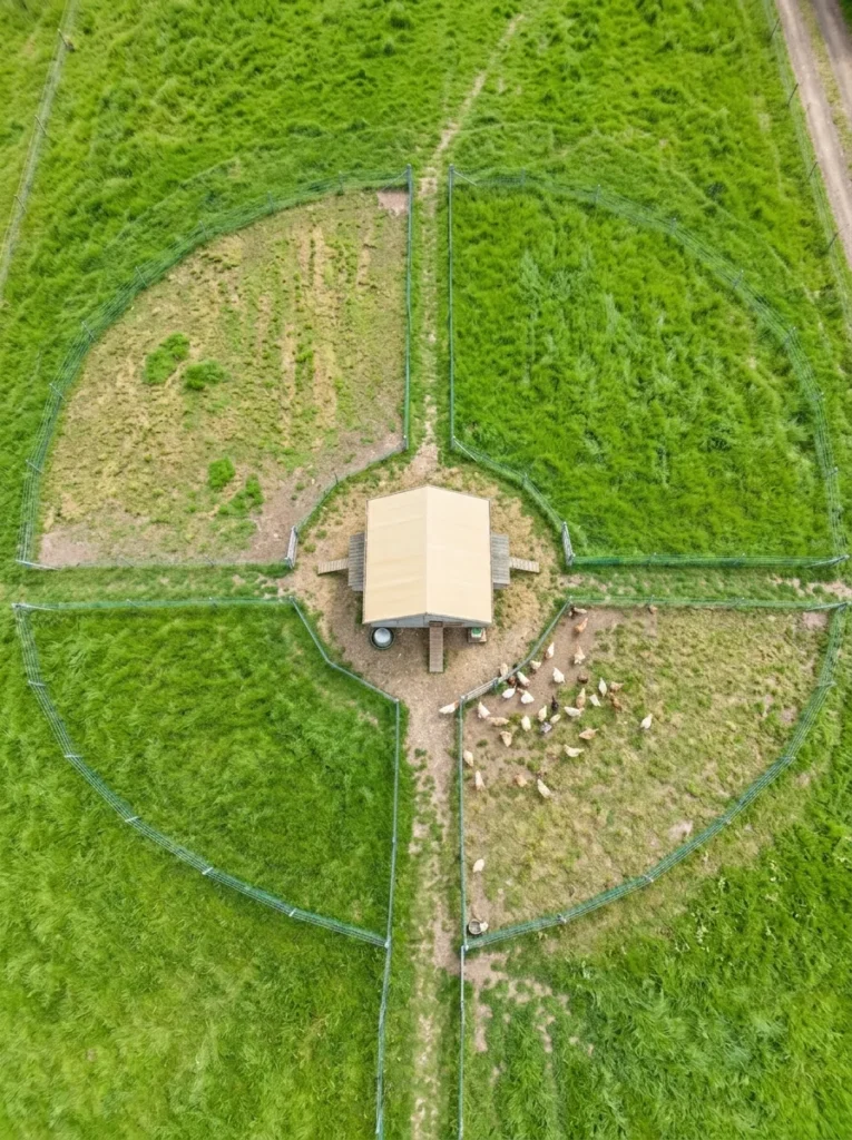 Poultry Pen Layout